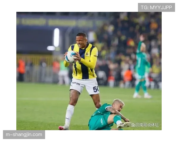 费内巴切卫冕冠军赛季起伏 伯奇签约效果未达预期